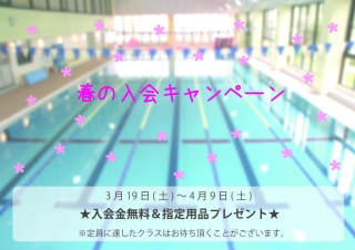 春の入会キャンペーンのお知らせ画像
